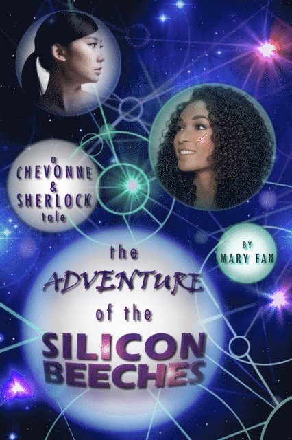 Mary Fan - Adventure of the Silicon Beeches, E-bok