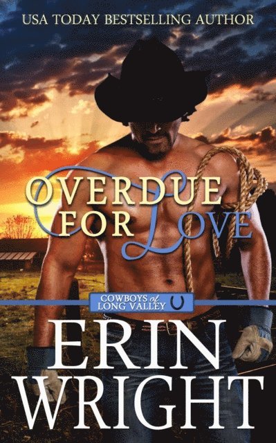 Erin Wright - Overdue for Love: A Secret Baby Western Romance, E-bok