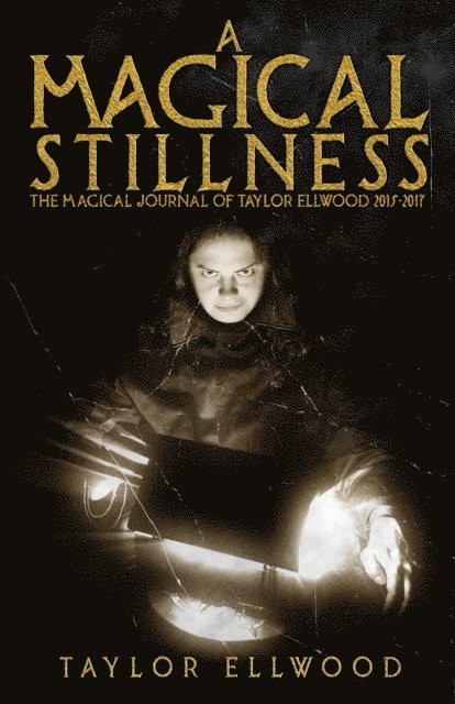 Taylor Ellwood - Magical Stillness: The Magical Journals of Taylor Ellwood 2015-2017, E-bok