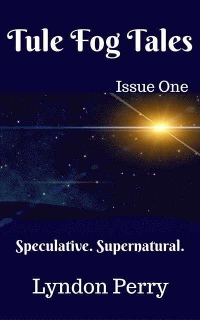 Lyndon Perry - Tule Fog Tales, Issue One, E-bok