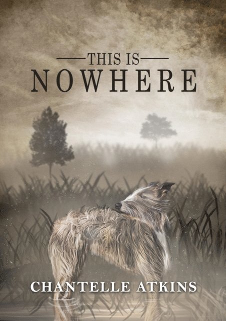 Chantelle Atkins - This Is Nowhere, E-bok