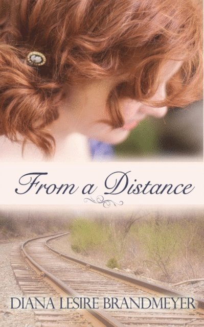 Diana Lesire Brandmeyer - From a Distance, E-bok