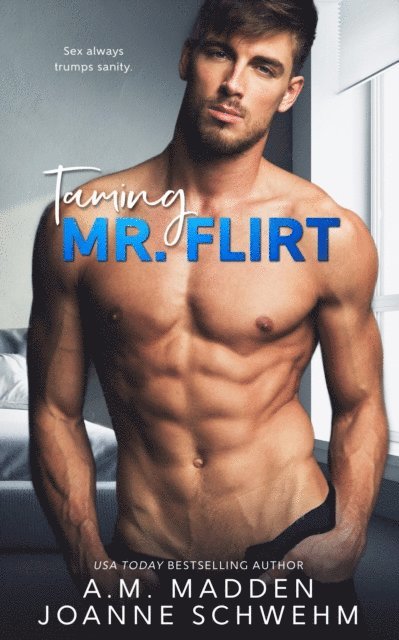 Joanne Schwehm, A.M. Madden - Taming Mr. Flirt, E-bok