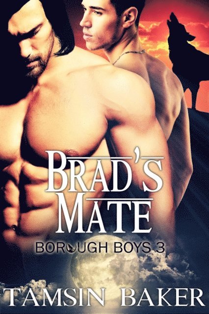 Tamsin Baker - Brad's Mate - M/M Paranormal Romance, E-bok