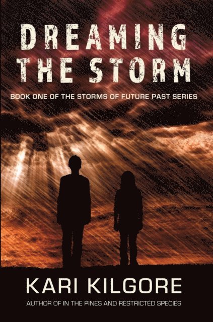 Kari Kilgore - Dreaming the Storm, E-bok