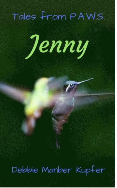 Debbie Manber Kupfer - Jenny, E-bok
