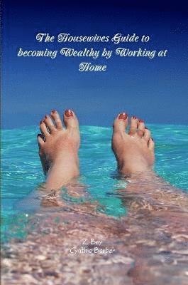 Z Bey - Housewives Guide to becoming Wealthy by Working at Home, Häftad