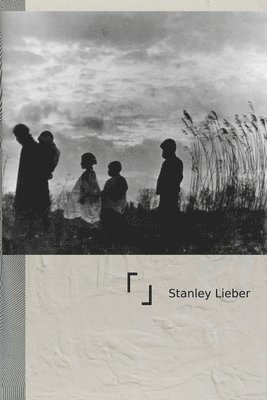 Stanley Lieber - 300c300d, Häftad. Tillgänglighet: Lägg i varukorg