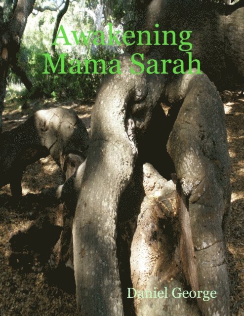 Daniel George - Awakening Mama Sarah, E-bok