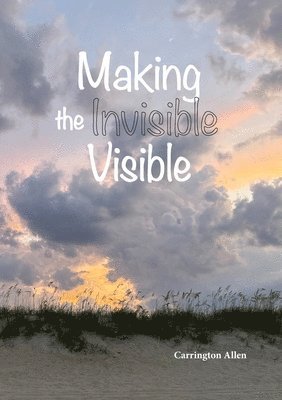 Carrington Allen - Making the Invisible Visible, Häftad. Tillgänglighet: Lägg i varukorg