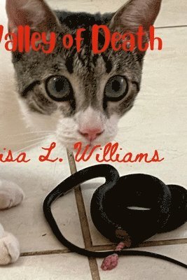 Marisa L Williams - Valley of Death, Häftad. Tillgänglighet: Lägg i varukorg
