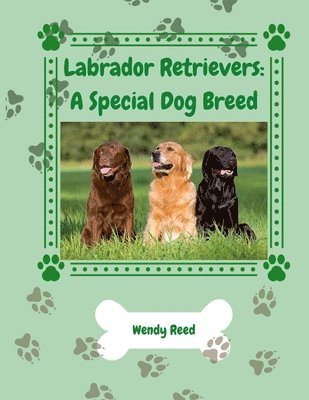 Wendy Reed - Labrador Retrievers, Häftad