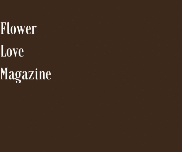 Deanna Stinson - Flower Love Magazine, E-bok