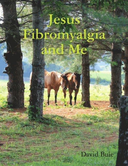 Jesus Fibromyalgia and Me