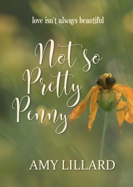 Amy Lillard - Not So Pretty Penny, E-bok