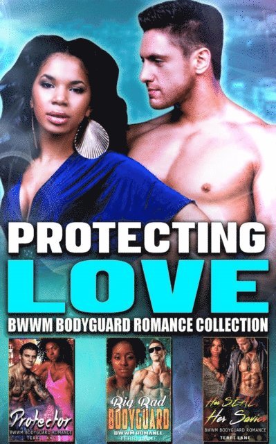 Terri Lane - Protecting Love : BWWM Bodyguard Romance Collection, E-bok