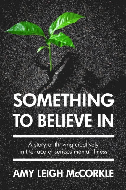 Amy McCorkle - Something to Believe In, E-bok