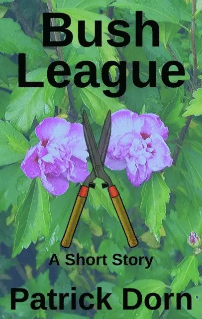 Patrick Dorn - Bush League, E-bok. Tillgänglighet: Lägg i varukorg