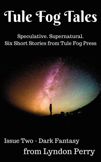 Lyndon Perry - Tule Fog Tales, Issue Two, E-bok