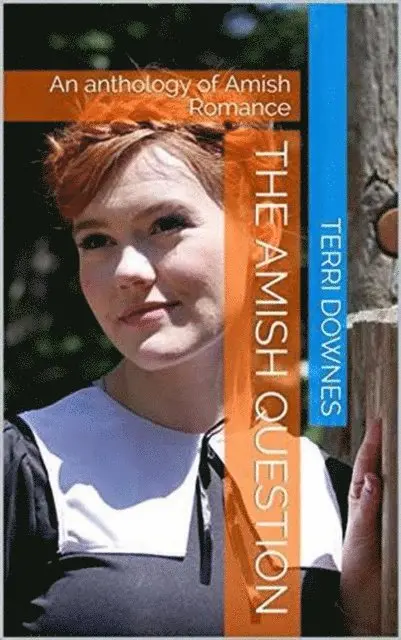Terri Downes - Amish Question, E-bok. Tillgänglighet: Lägg i varukorg