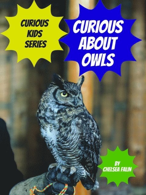 Chelsea Falin - Curious About Owls, E-bok. Tillgänglighet: Lägg i varukorg
