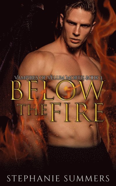 Stephanie Summers - Below the Fire, E-bok