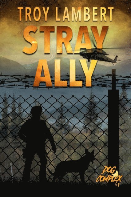 Troy Lambert - Stray Ally, E-bok