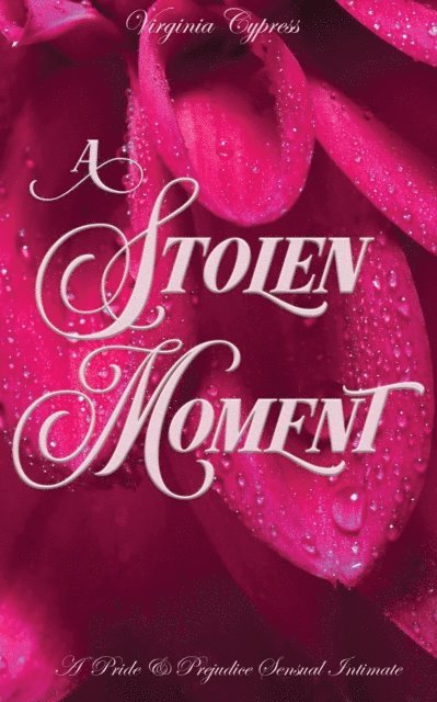 Jane Hunter, Virginia Cypress - Stolen Moment: A Pride and Prejudice Sensual Intimate Novella, E-bok