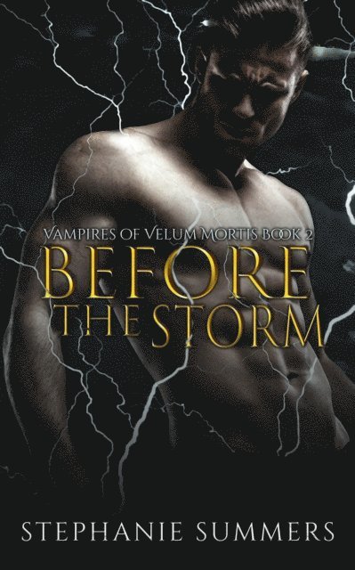 Stephanie Summers - Before the Storm, E-bok