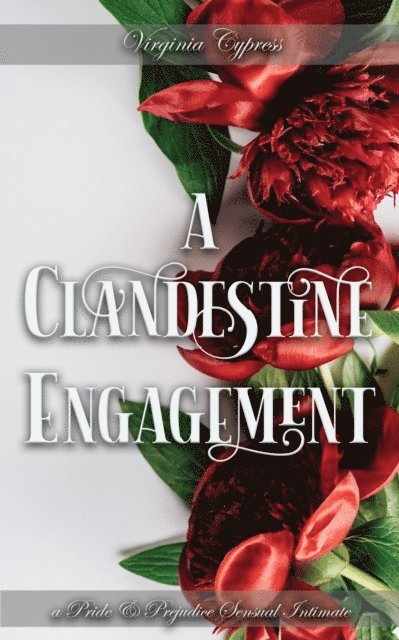 Jane Hunter, Virginia Cypress - Clandestine Engagement: A Pride and Prejudice Sensual Intimate, E-bok
