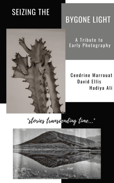 Hadiya Ali, David Ellis, Cendrine Marrouat - Seizing the Bygone Light: A Tribute to Early Photography, E-bok