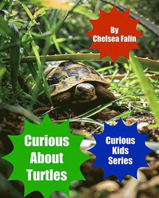 Chelsea Falin - Curious About Turtles, E-bok. Tillgänglighet: Lägg i varukorg