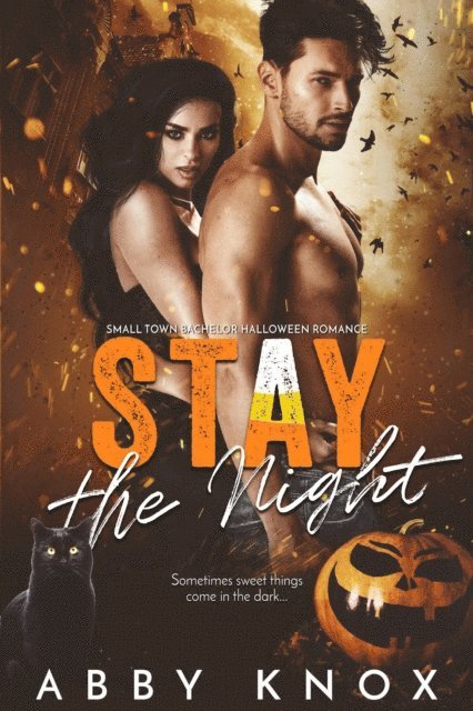 Abby Knox - Stay The Night, E-bok