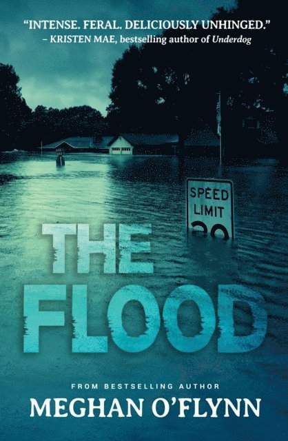 Meghan O'Flynn - Flood, E-bok