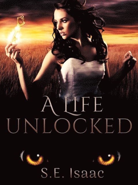S.E. Isaac - Life Unlocked, E-bok