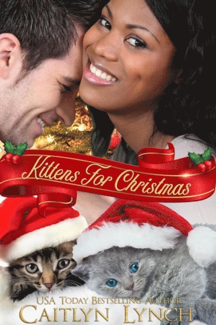 Caitlyn Lynch - Kittens For Christmas, E-bok
