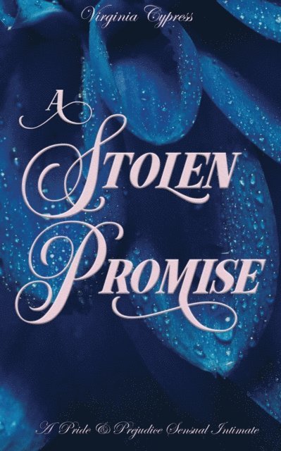 Jane Hunter, Virginia Cypress - Stolen Promise: A Pride and Prejudice Sensual Intimate, E-bok