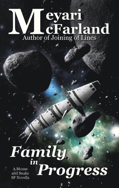 Meyari McFarland - Family in Progress, E-bok