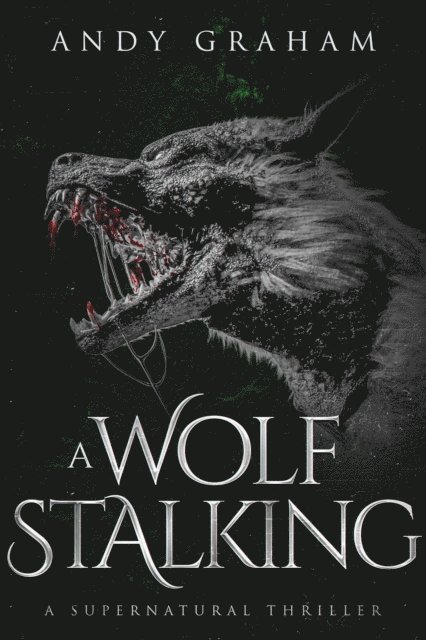 Andy Graham - Wolf Stalking: A Supernatural Thriller, E-bok