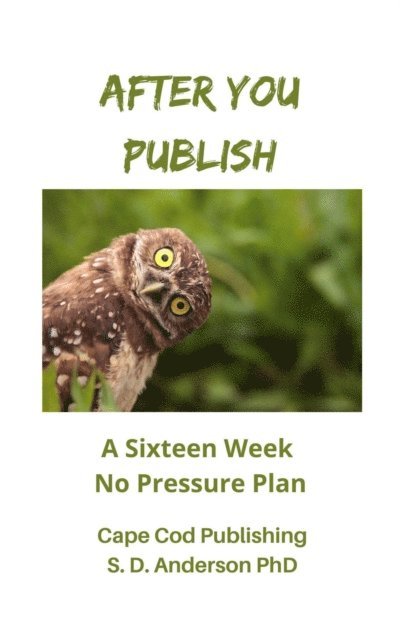 S.D. Anderson - After You Publish, E-bok