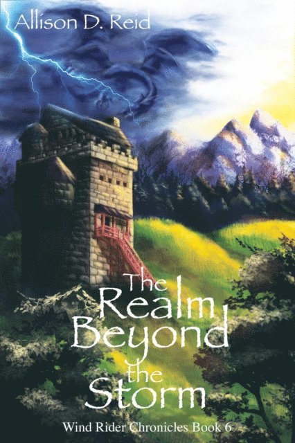 Allison D. Reid - Realm Beyond the Storm, E-bok