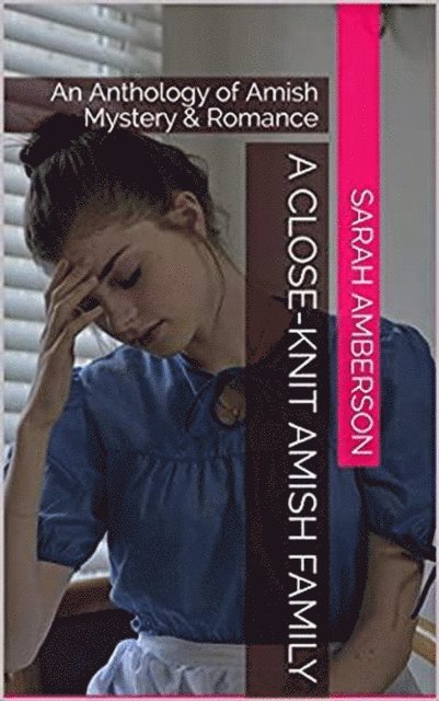 Sarah Amberson - Close-Knit Amish Family, E-bok
