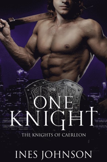 Ines Johnson - One Knight, E-bok