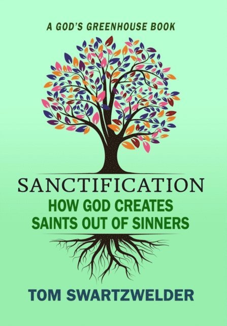 Tom Swartzwelder - Sanctification: How God Creates Saints out of Sinners, E-bok