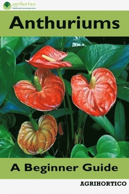 Agrihortico CPL - Anthuriums: A Beginner Guide, E-bok. Tillgänglighet: Lägg i varukorg