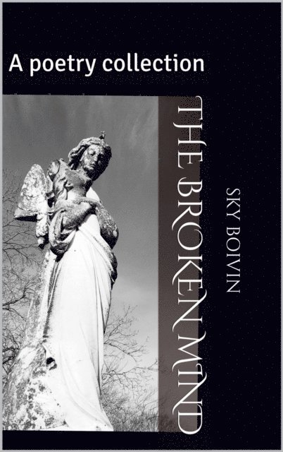 Sky Boivin - Broken Mind, E-bok. Tillgänglighet: Lägg i varukorg