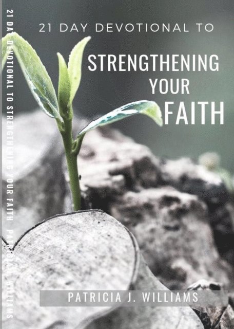 Patricia J Williams - 21 Day Devotional to Strengthening Your Faith, E-bok