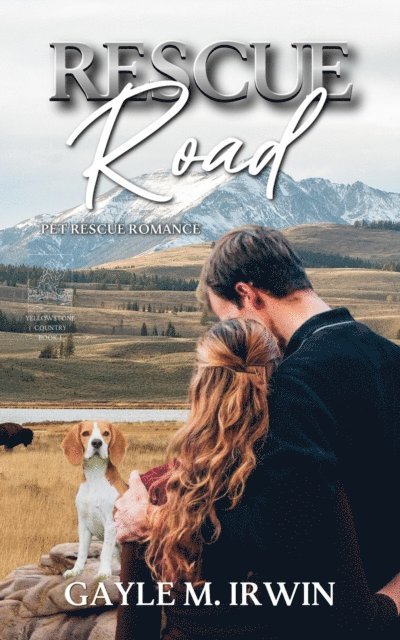GAYLE M. IRWIN - Rescue Road, E-bok. Tillgänglighet: Lägg i varukorg
