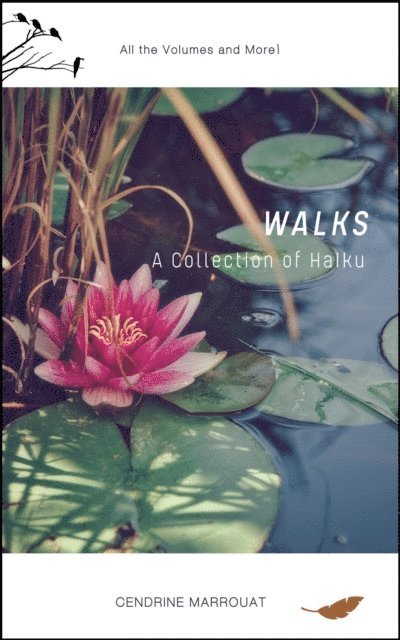 Cendrine Marrouat - Walks: A Collection of Haiku (All the Volumes and More!), E-bok