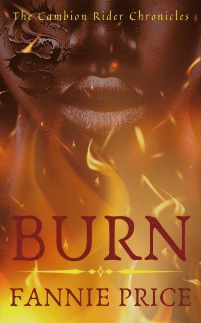 Fannie Price - Burn, E-bok. Tillgänglighet: Lägg i varukorg